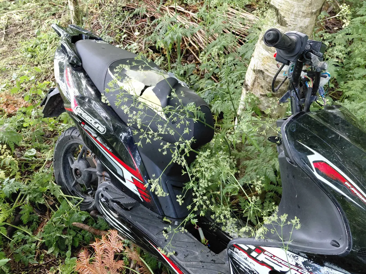 Billede 4 - Scooter,VGA,projekt
