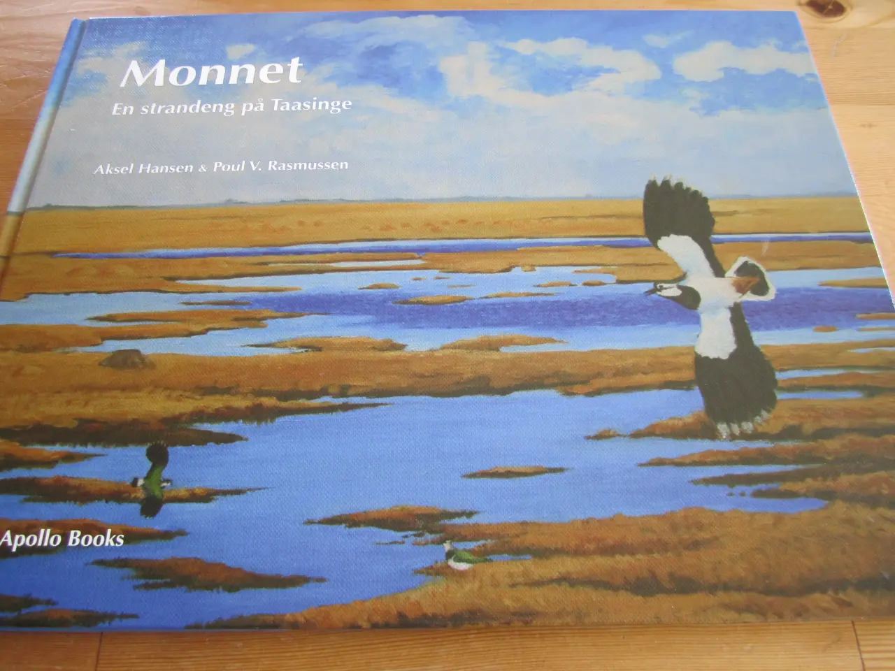 Billede 1 - MONNET. En strandeng på Taasinge.