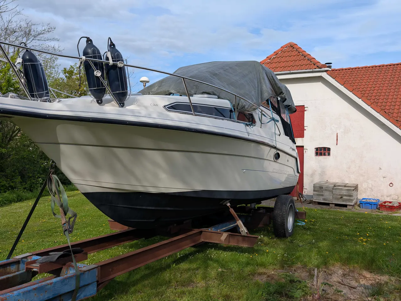 Billede 7 - Champignon Viktoria 245
