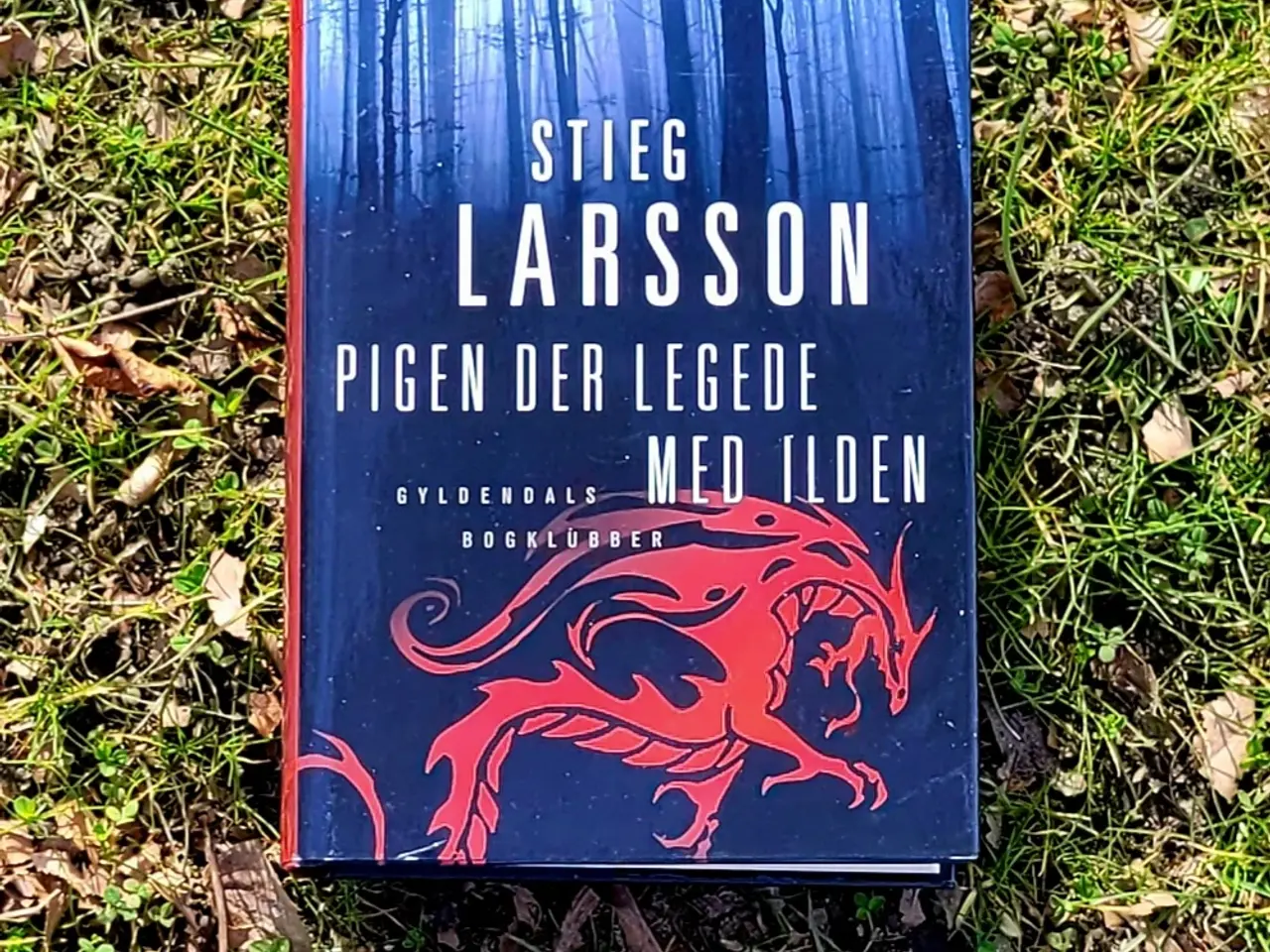 Billede 2 - Stig Larsson Bøger flot stand