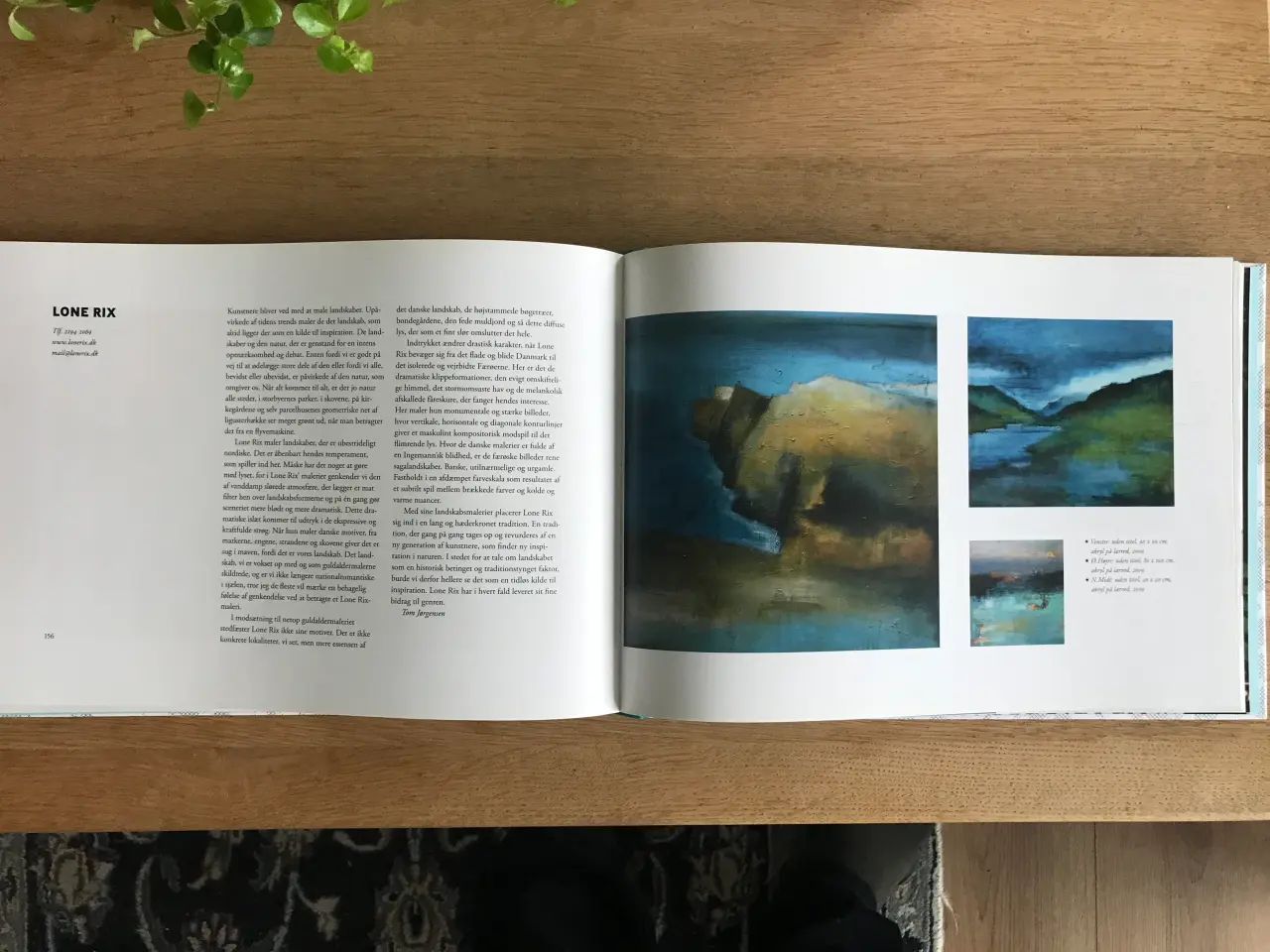 Billede 4 - 101 KUNSTNERE - En hyldest til mangfoldigheden 201