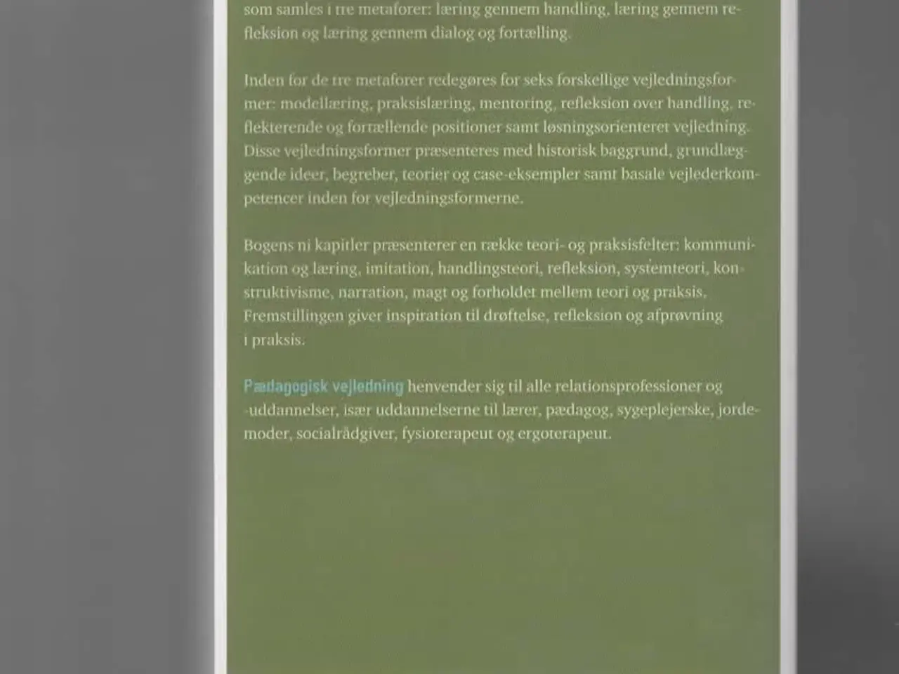Billede 2 - vejledningsarbejde