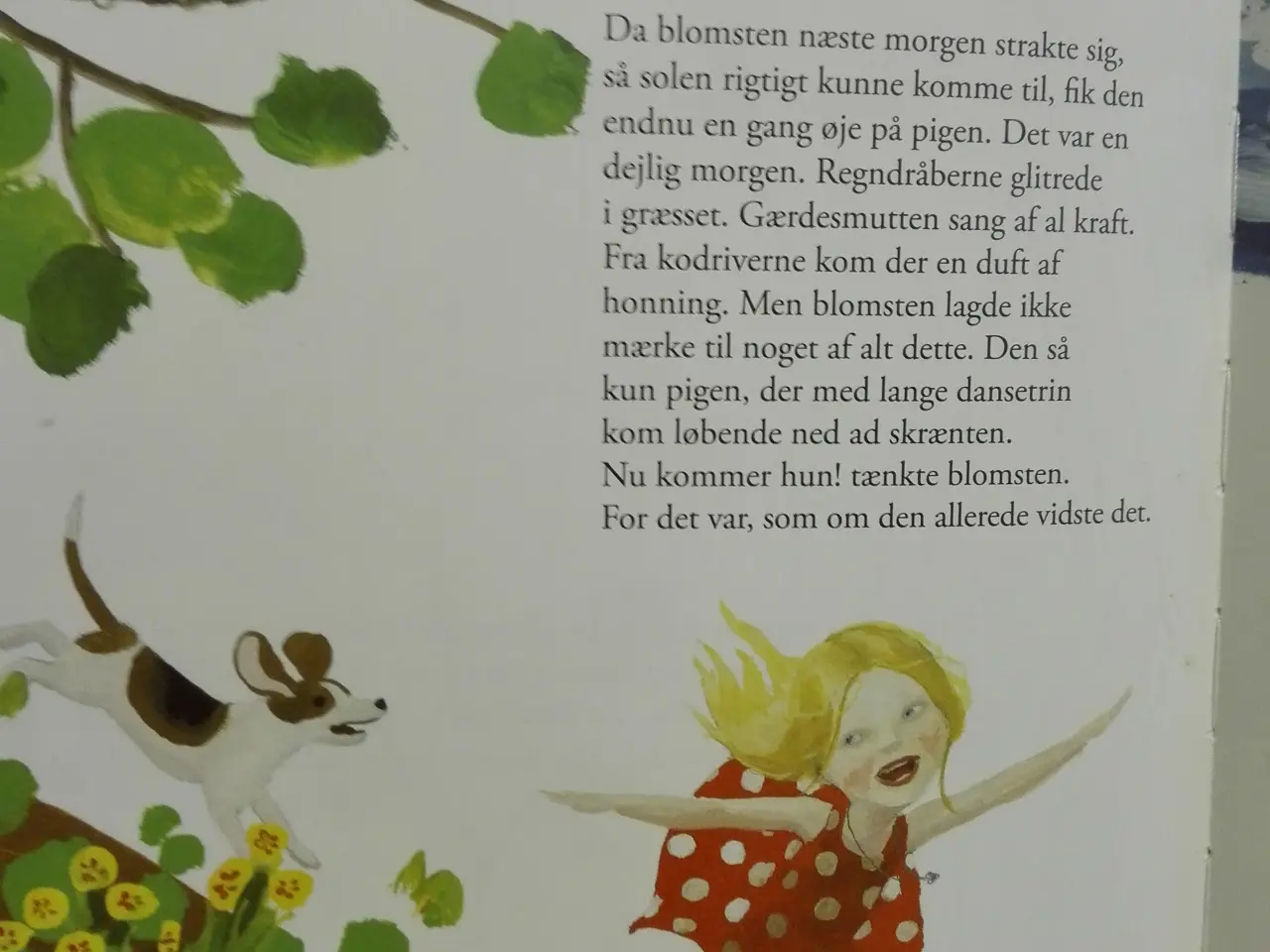 Billede 3 - Et blomsterliv af Stefan Casta og Sara L
