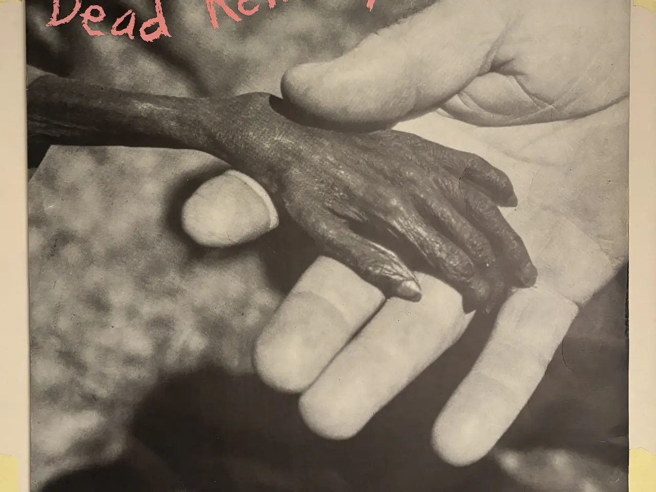 Billede 6 - Dead Kennedys – 2 vinyl LP og 12" single US Punk