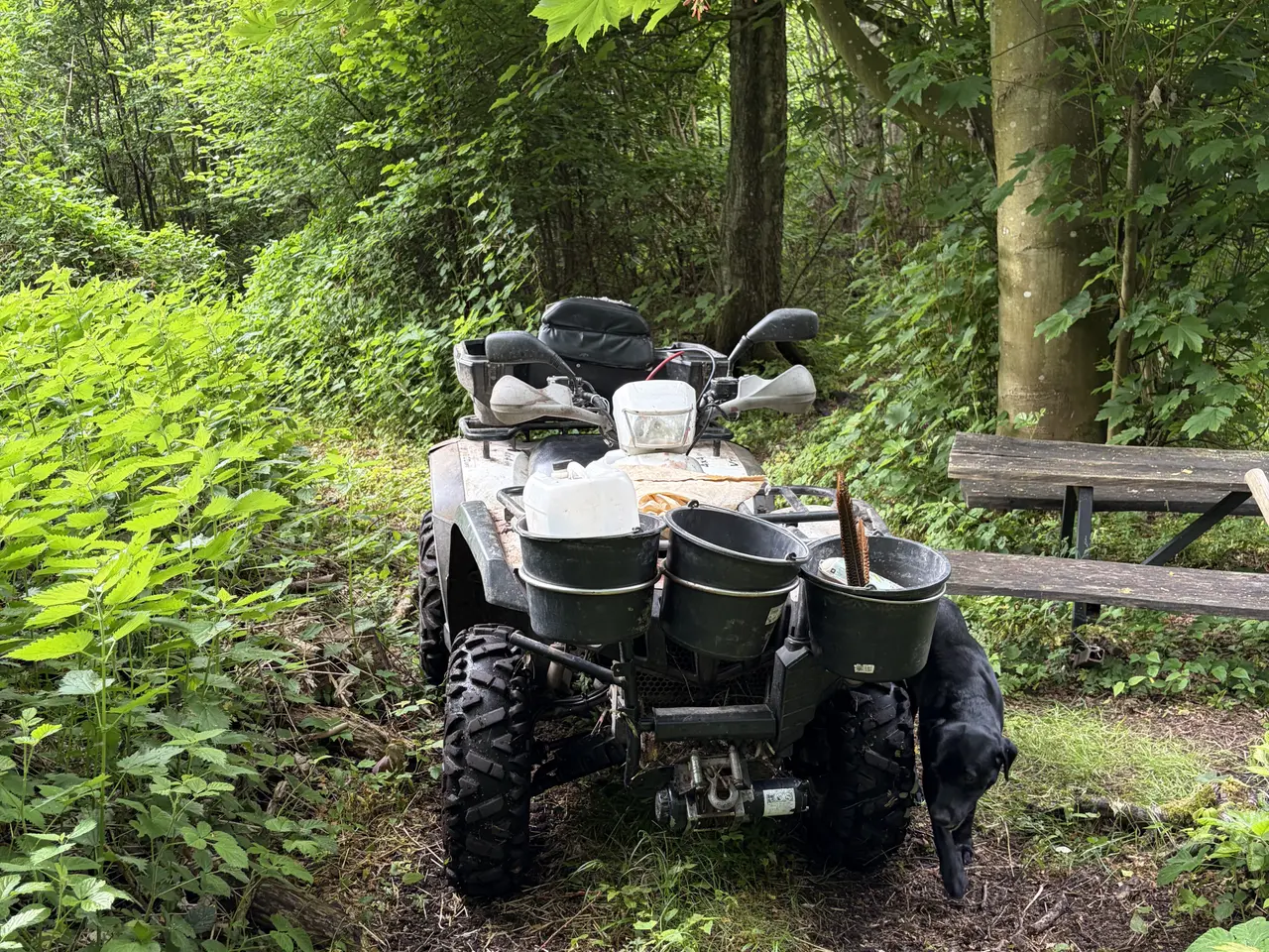 Billede 2 - ATV 600
