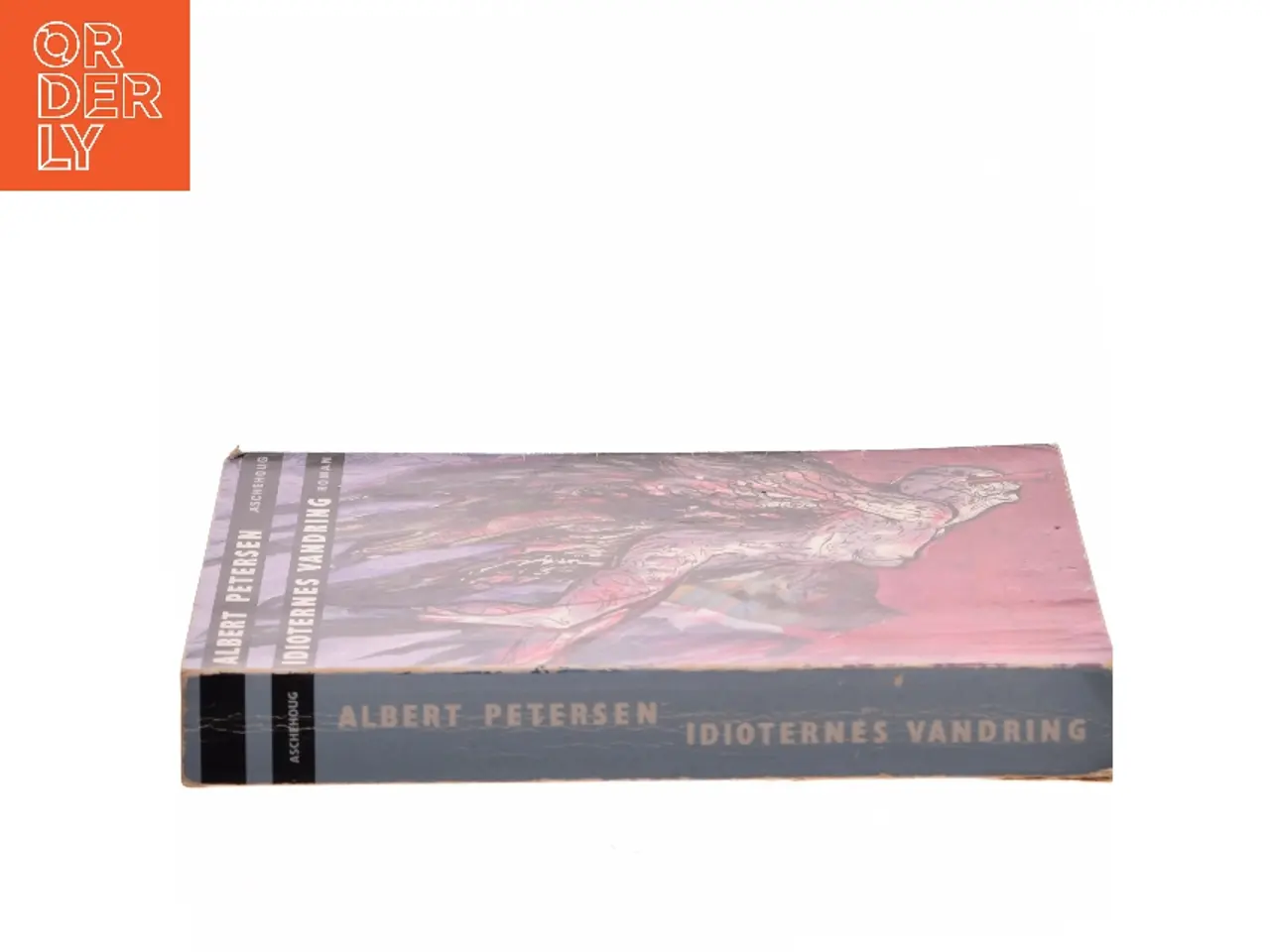 Billede 2 - Idioternes vandring : en roman af Albert Petersen (f. 1952) (Bog)