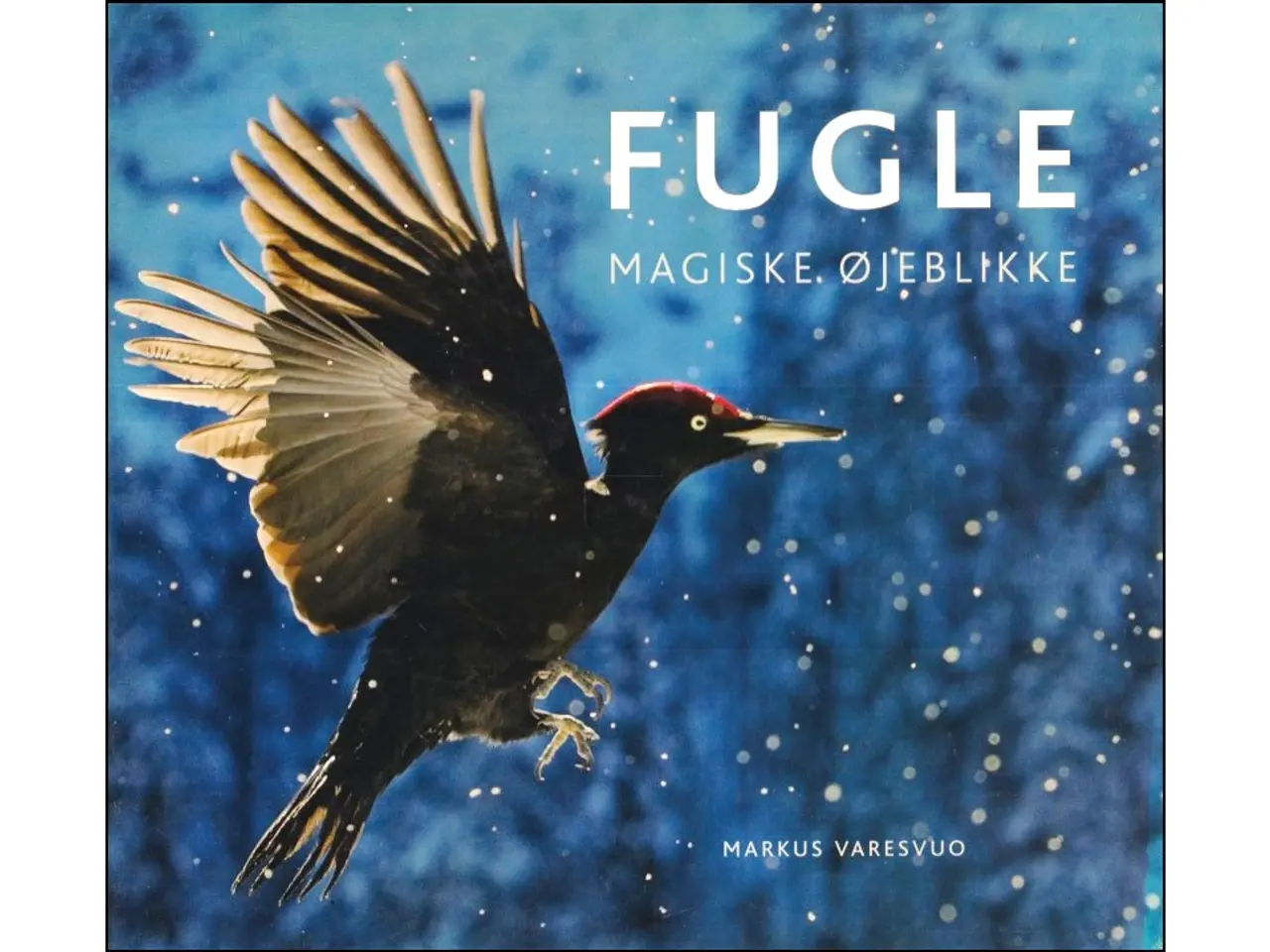 Billede 16 - Fugle - 16 Bøger fra 40 kr.