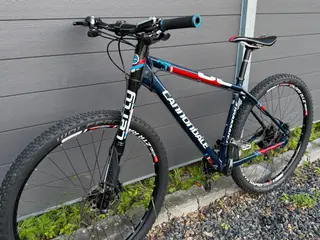 Cannondale F29 Lefty 29” L