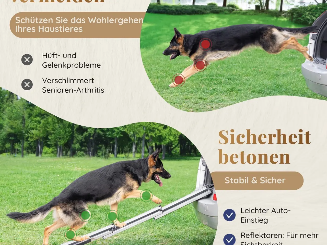 Billede 3 - Folbar hunderampe
