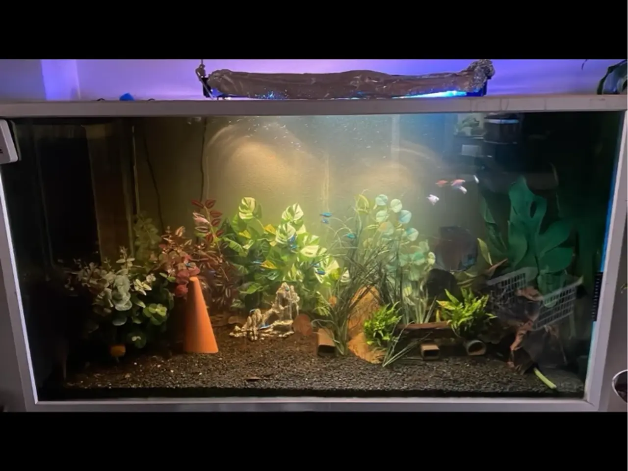 Billede 3 - 720 ltr akvarie