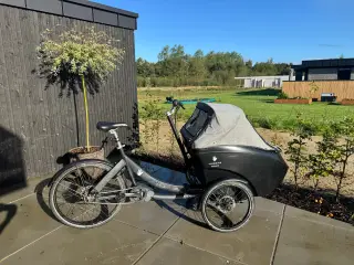 Triobike Mone ladcykel m. El