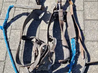 Seletøj til heste