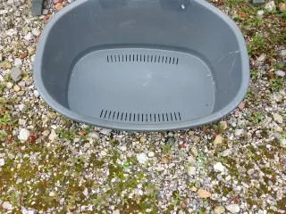 Hunde seng mellem