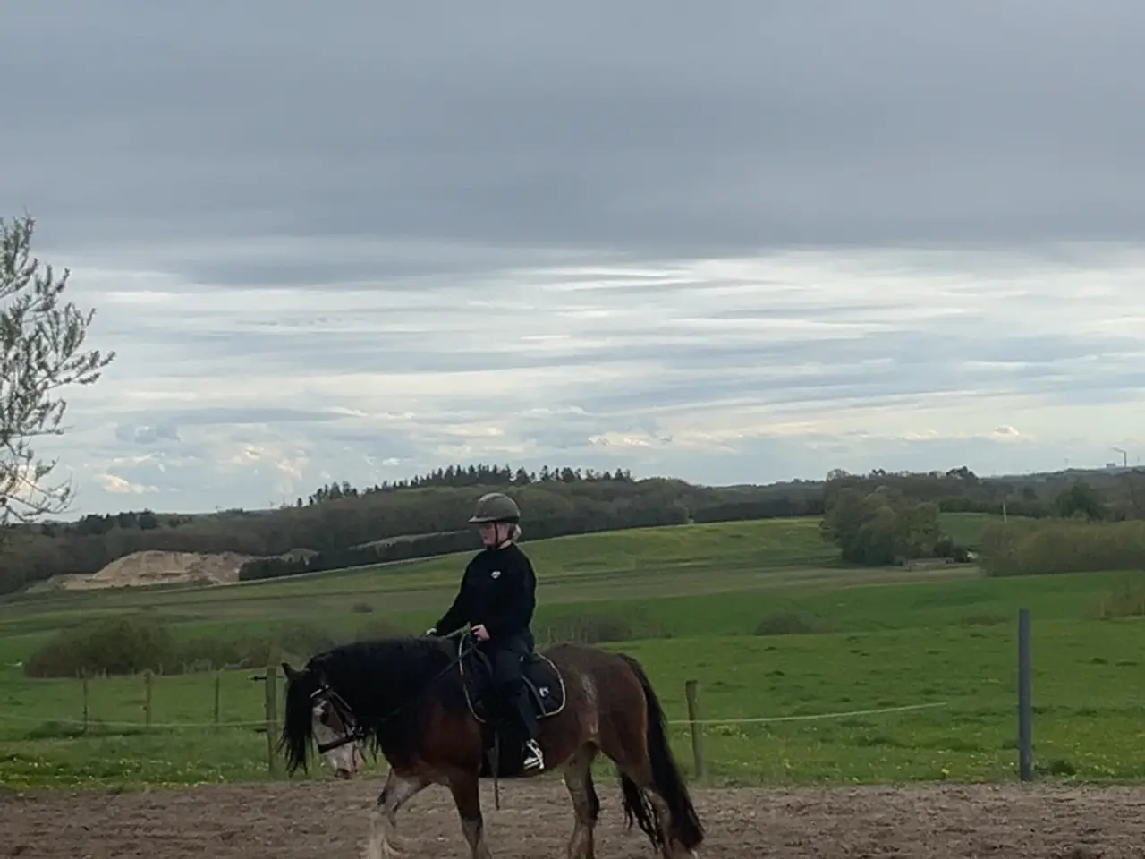 Billede 1 - Chancehest evt tur