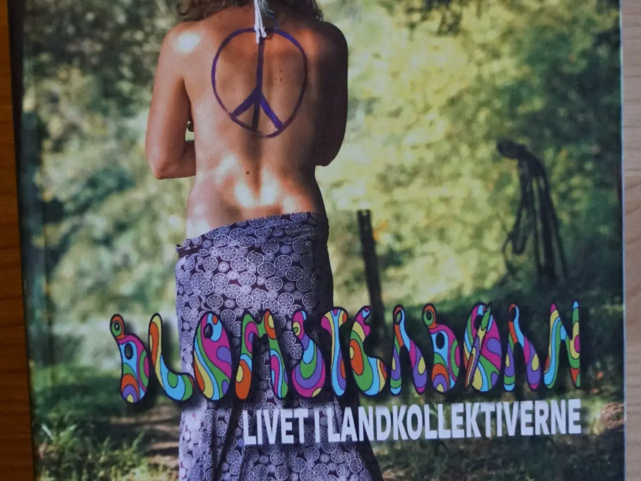Billede 1 - Blomsterbørn - livet i landkollektiverne