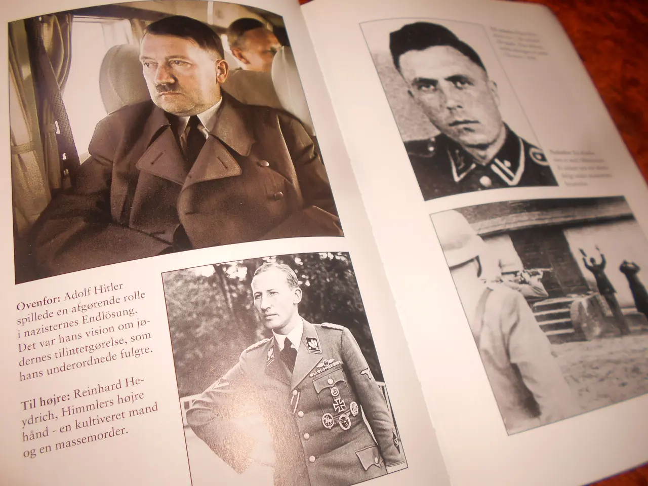 Billede 2 - Auschwitz, nazisterne og die Endlösung,