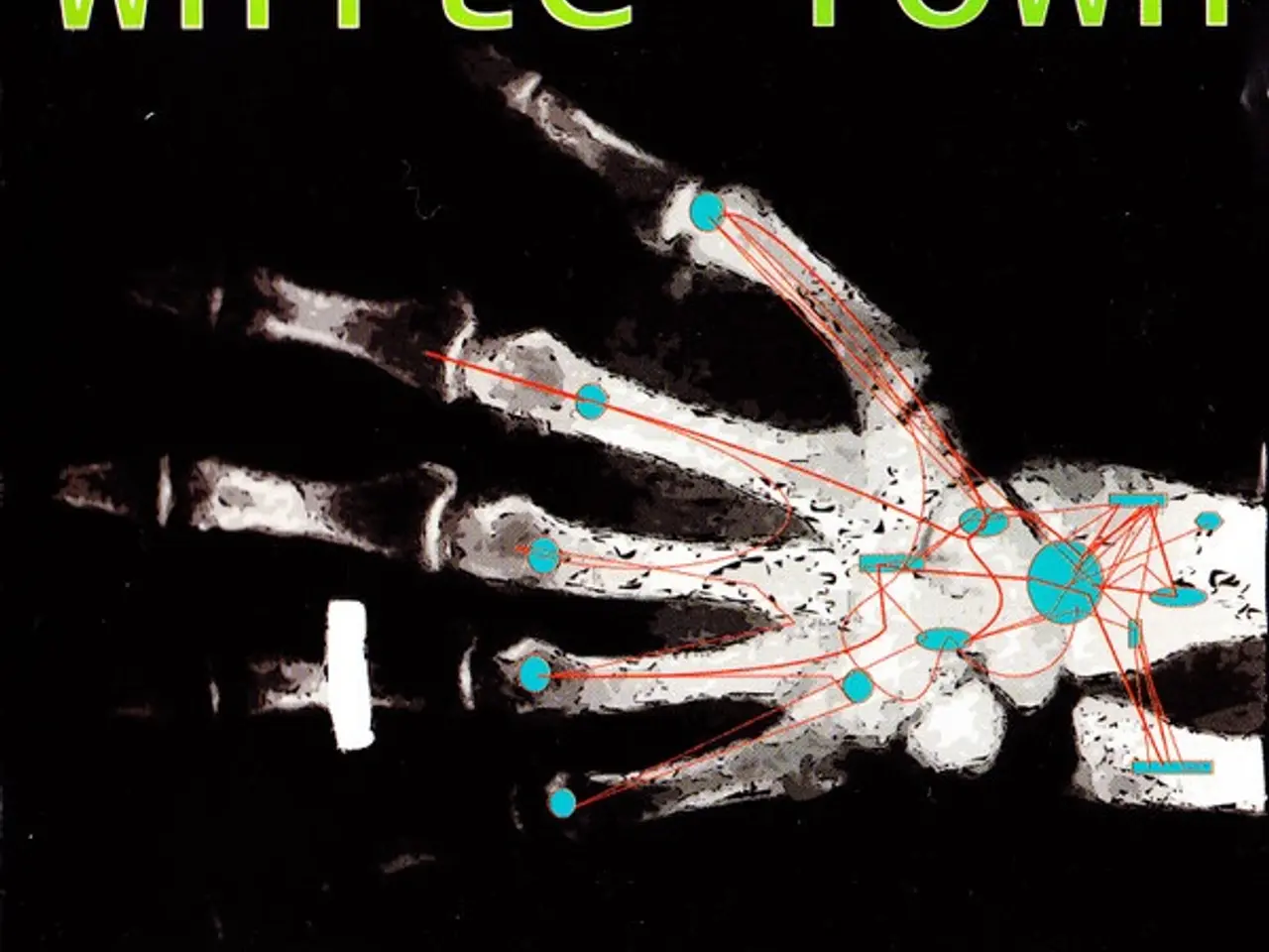 Billede 1 - White Town – Women In Technology – CD