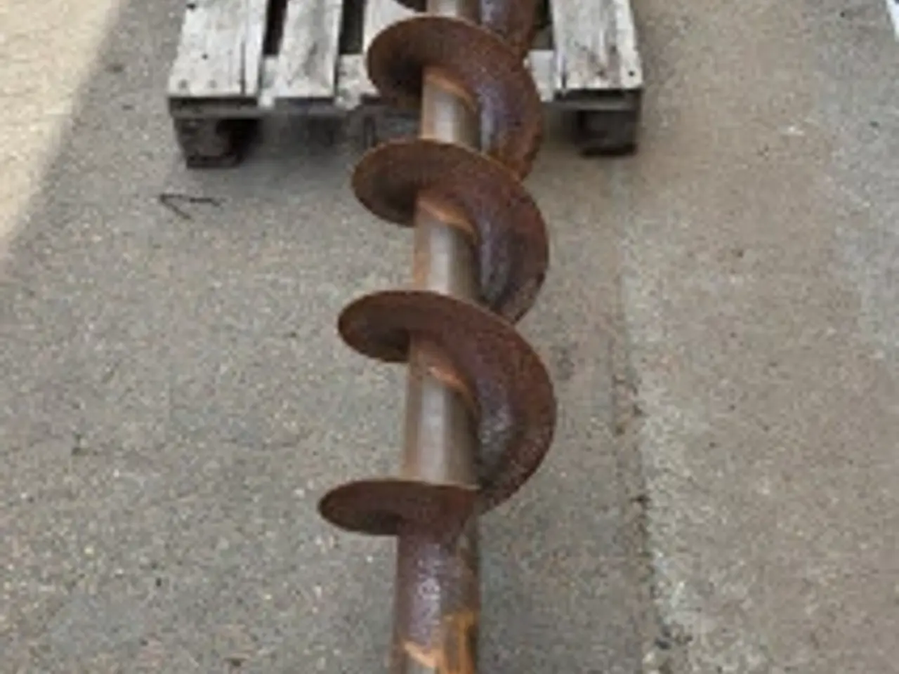 Billede 13 - Massey Ferguson 31 Snegl 28851023