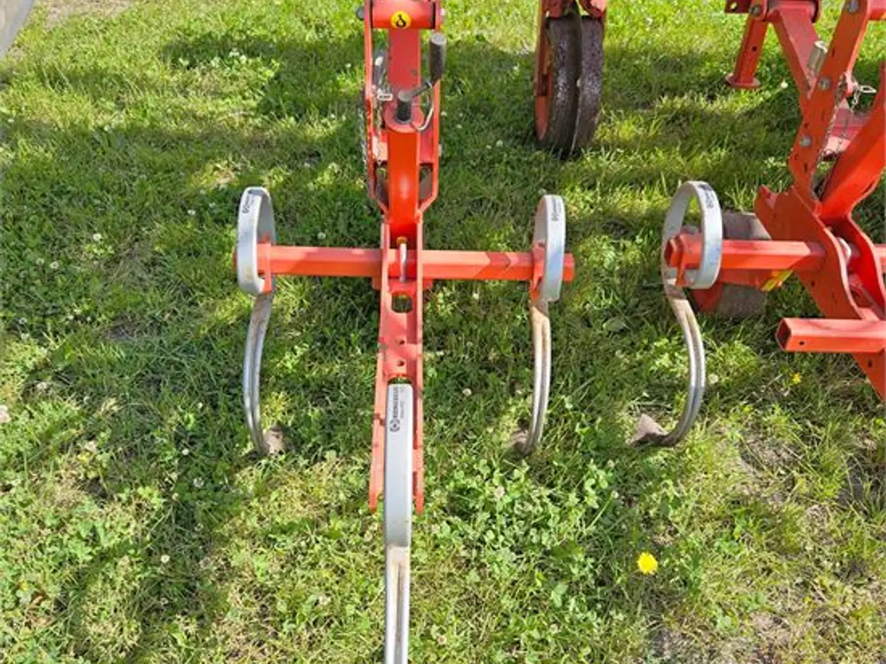 Billede 8 - Maschio DSD-600 - radrenser / row cultivator 12 m