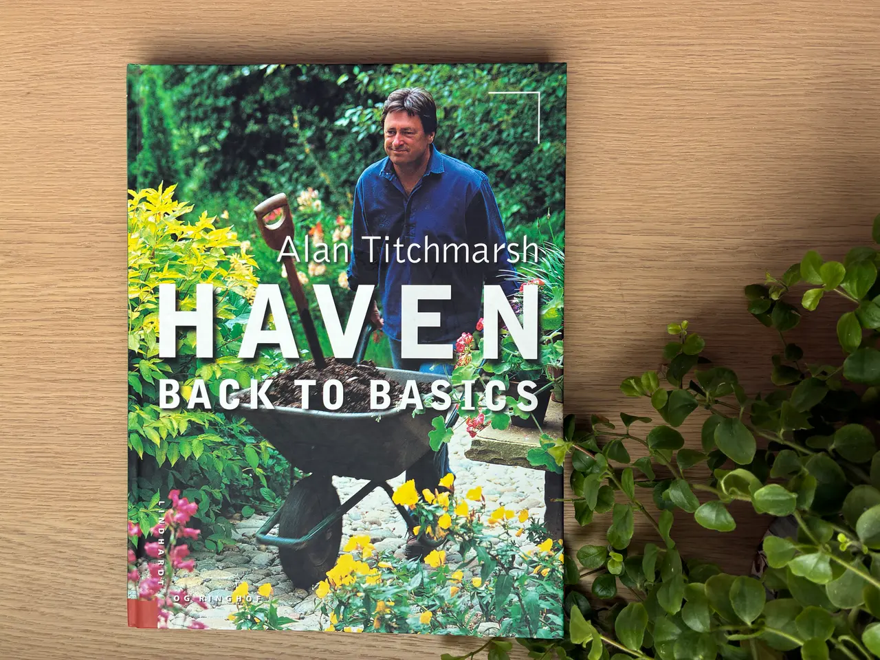Billede 1 - HAVEN  Back to Basics