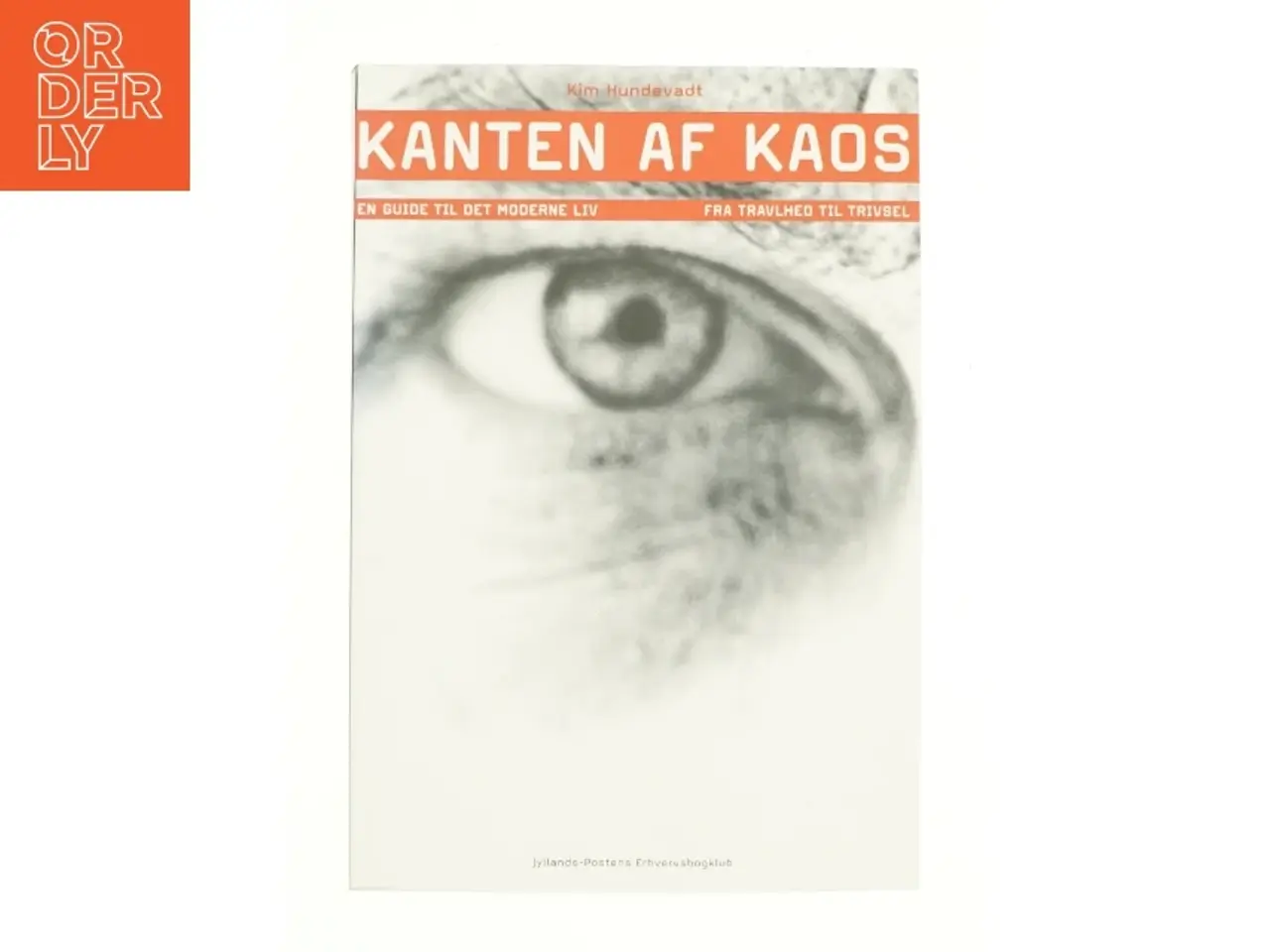 Billede 1 - Kanten af kaos af Kim Hundevadt (Bog)