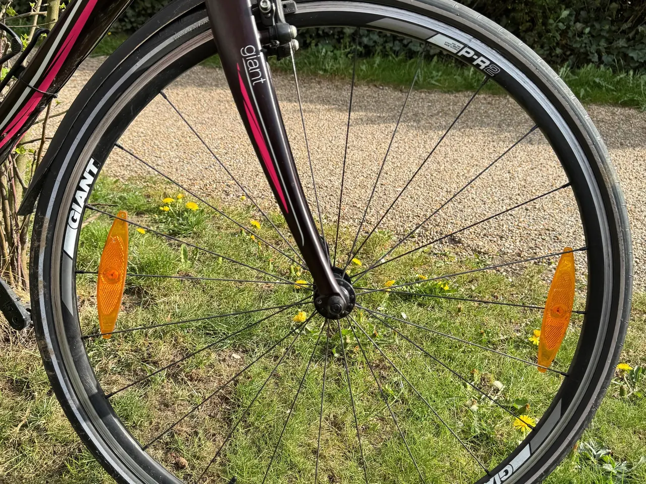 Billede 4 - Giant Thrive Composite - dame