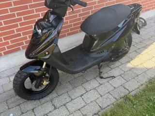 PGO Hot 50 2017 Lovlig