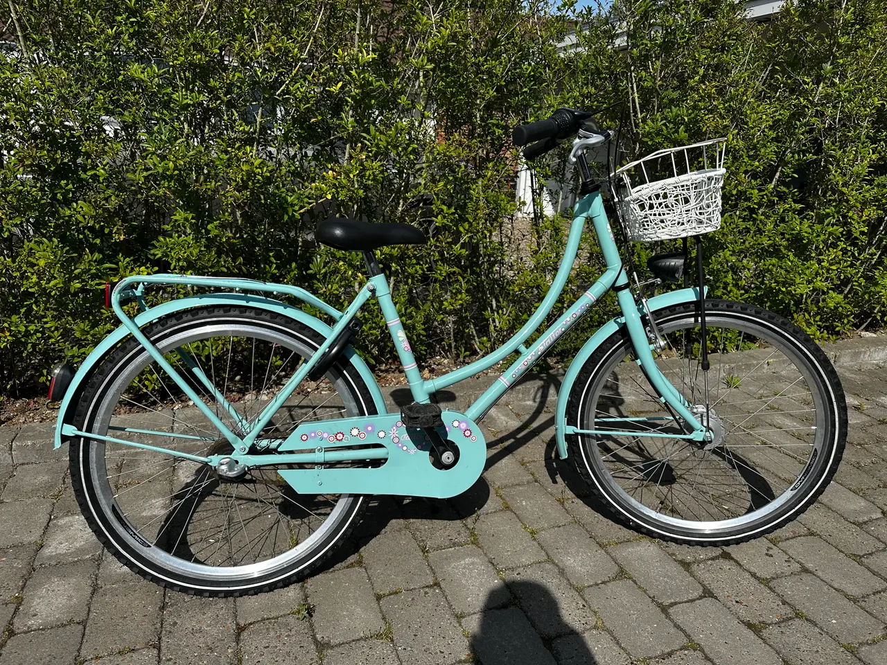 Billede 1 - 24" FALTER Pigecykel