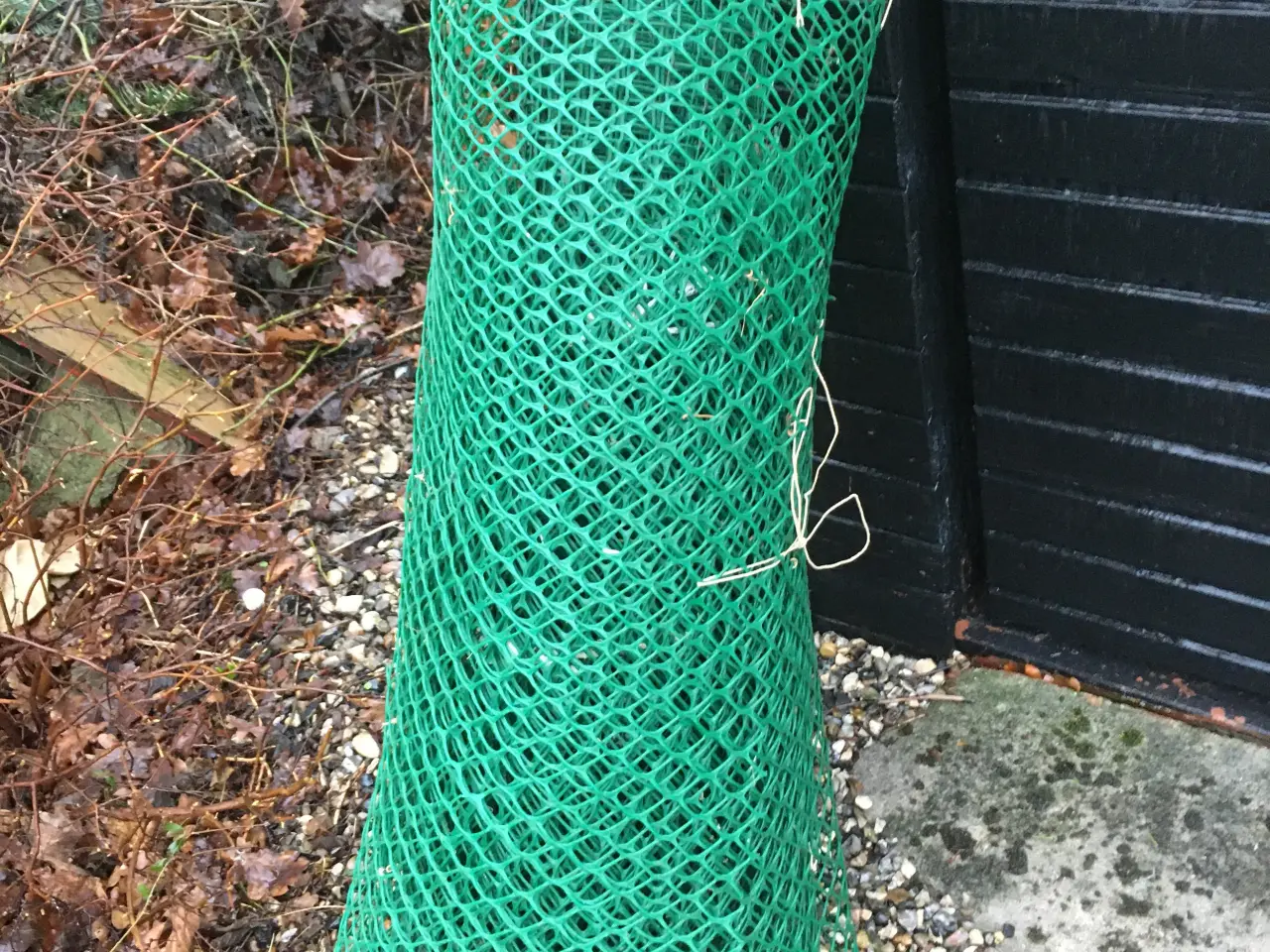 Billede 1 - Grønt plastnet til haven. Giv et bud.