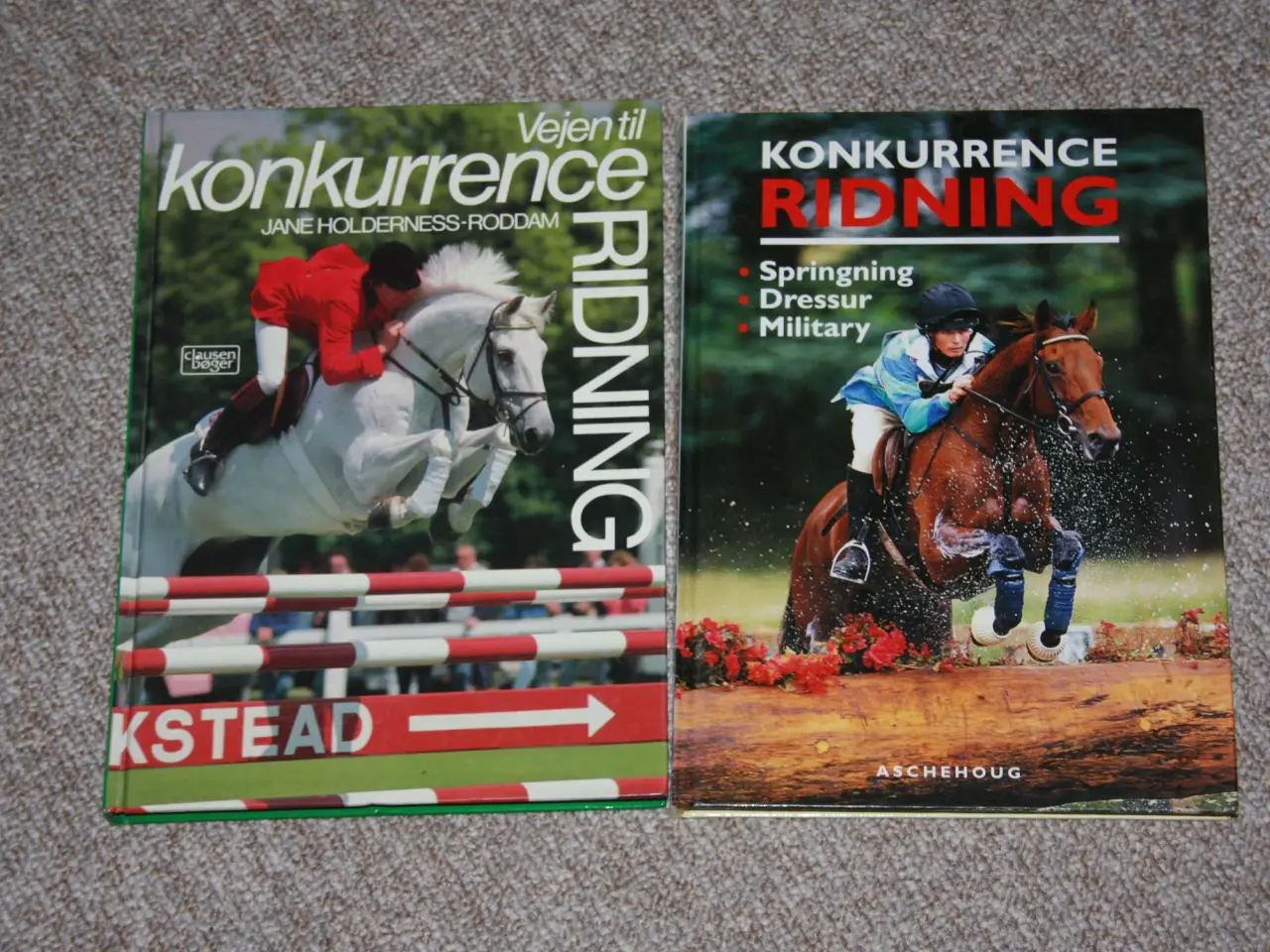 Billede 1 - Vejen til konkurrence ridning
