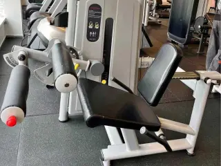 Seated Leg Curl Machine