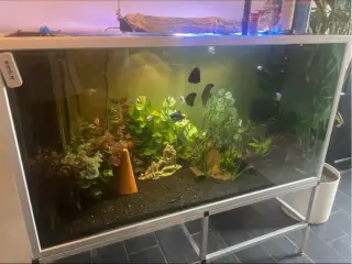 720 ltr akvarie 