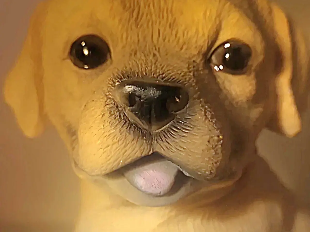 Billede 7 - Lille Lys Labrador Hvalpefigur