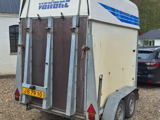 Hestetrailer udlejning 