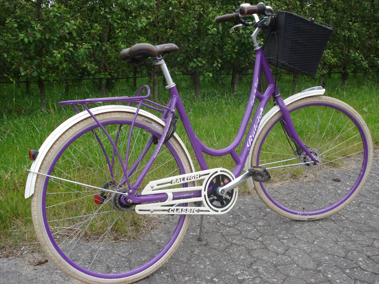 Billede 7 - Cykel til pige/dame, Raleigh classic de luxe
