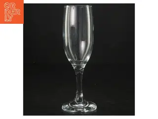 Champagneglas (str. 18 cm)