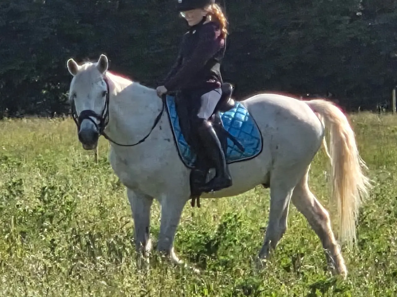 Billede 1 - Projektpony sælges 🐴 