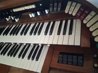 Gratis Orgel