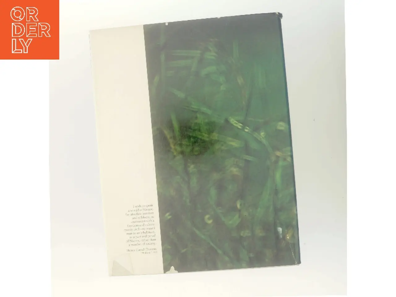 Billede 3 - The Illustrated World of Thoreau (Bog)