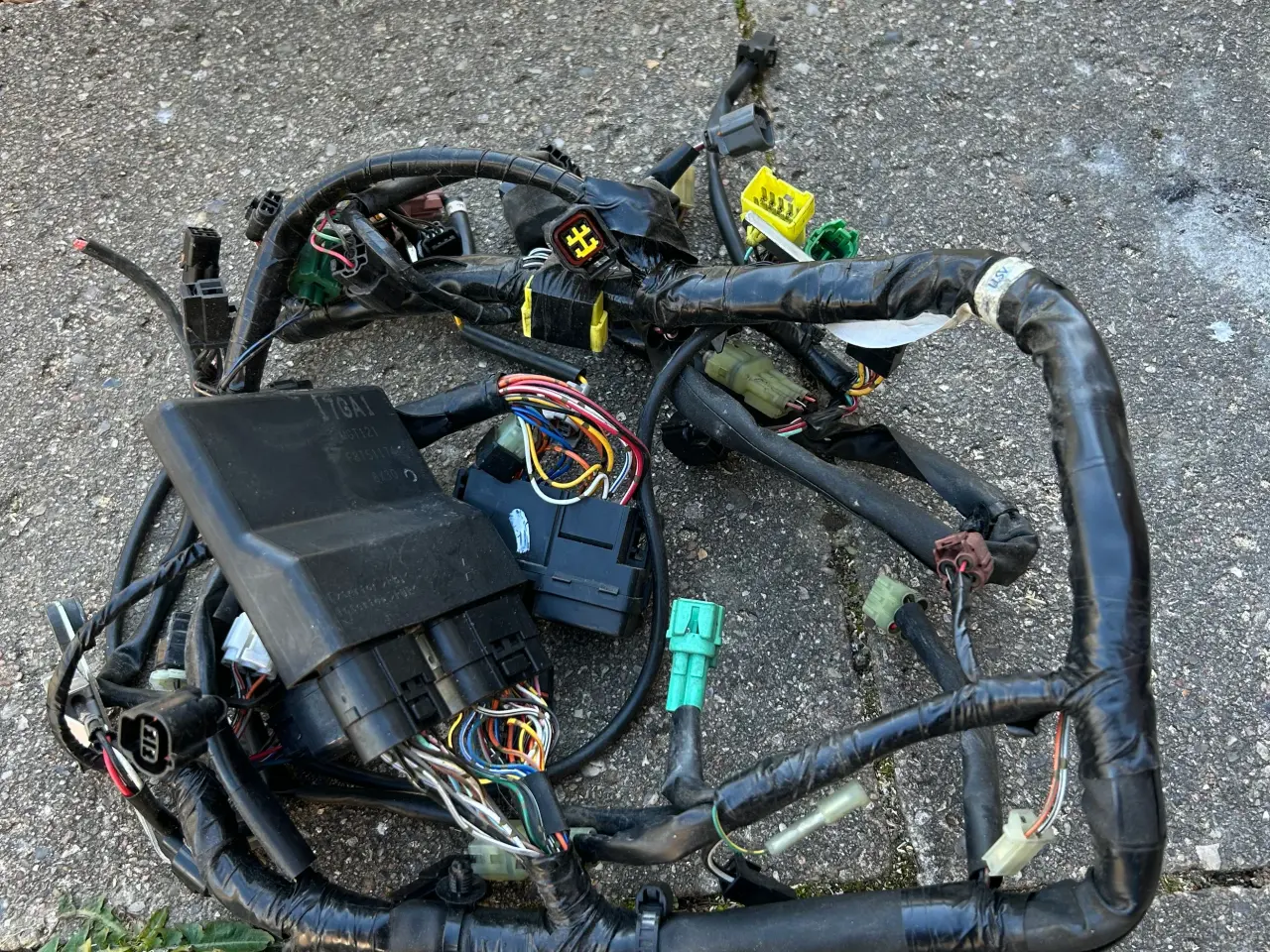 Billede 1 - Suzuki sv 650 07-12 ledningsnet