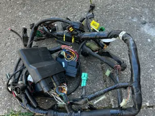 Suzuki sv 650 07-12 ledningsnet