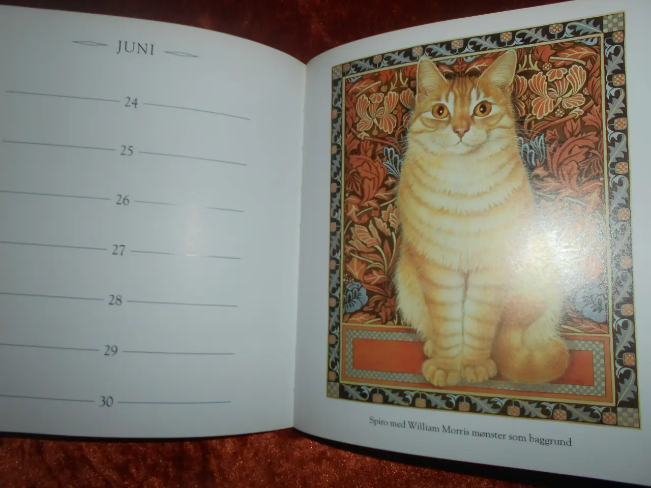 Billede 2 - Katte, Anne Ivory
