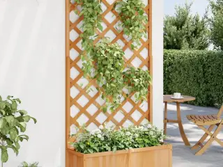 Plantekasse med espalier massivt grantræ brun