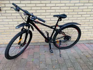 X-Zite 2924 Pro 29”