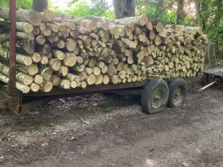 Brændsel