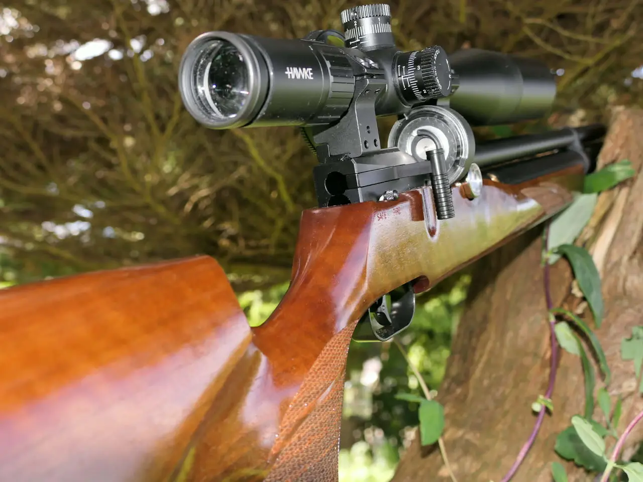 Billede 7 - FX dreamline classic