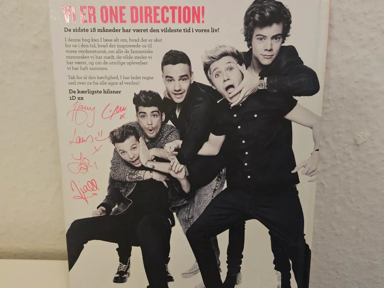 Billede 2 - One Direction bog 