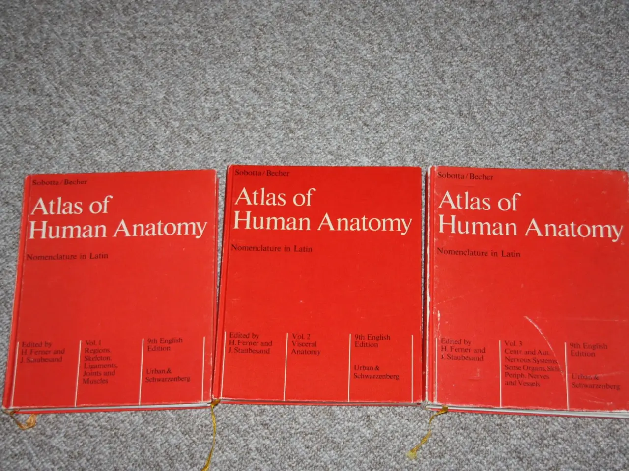 Billede 1 - Atlas of Human Anatomy af H.Ferner