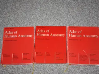 Atlas of Human Anatomy af H.Ferner