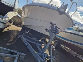 Sessa Islamorada 21